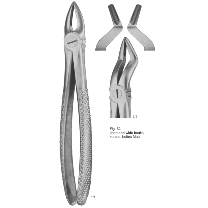 Tooth Extracting Forceps (Eng Pattern)
